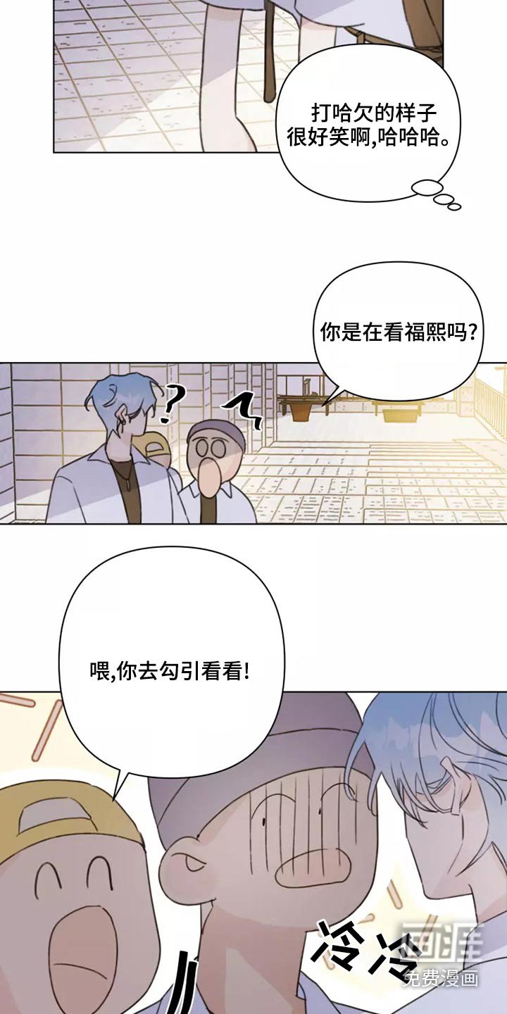 第39章：篮球