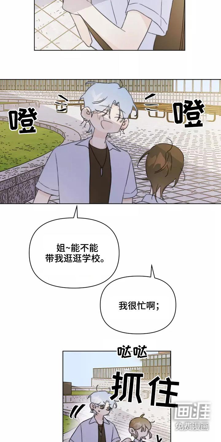 第39章：篮球