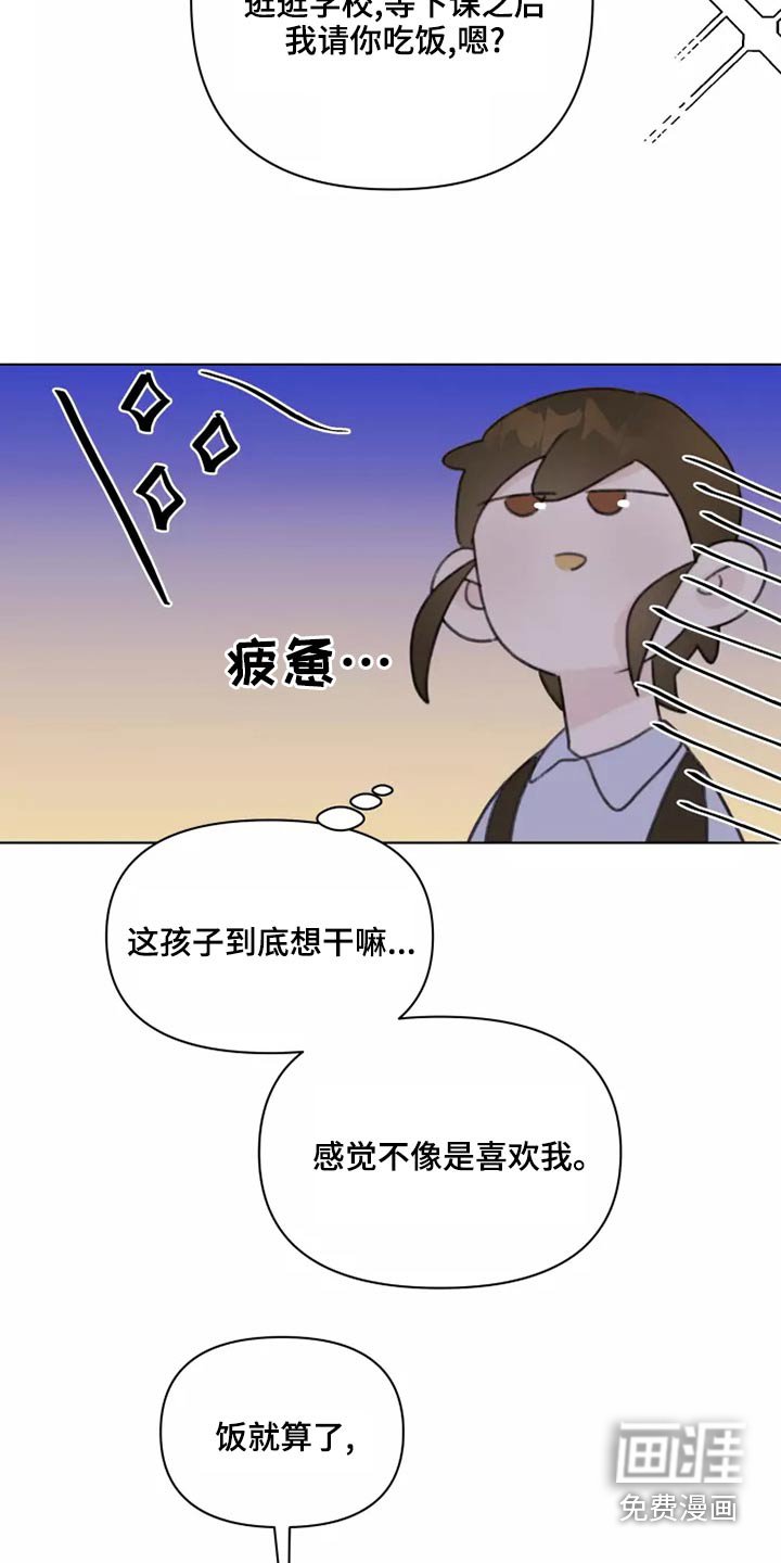 第39章：篮球