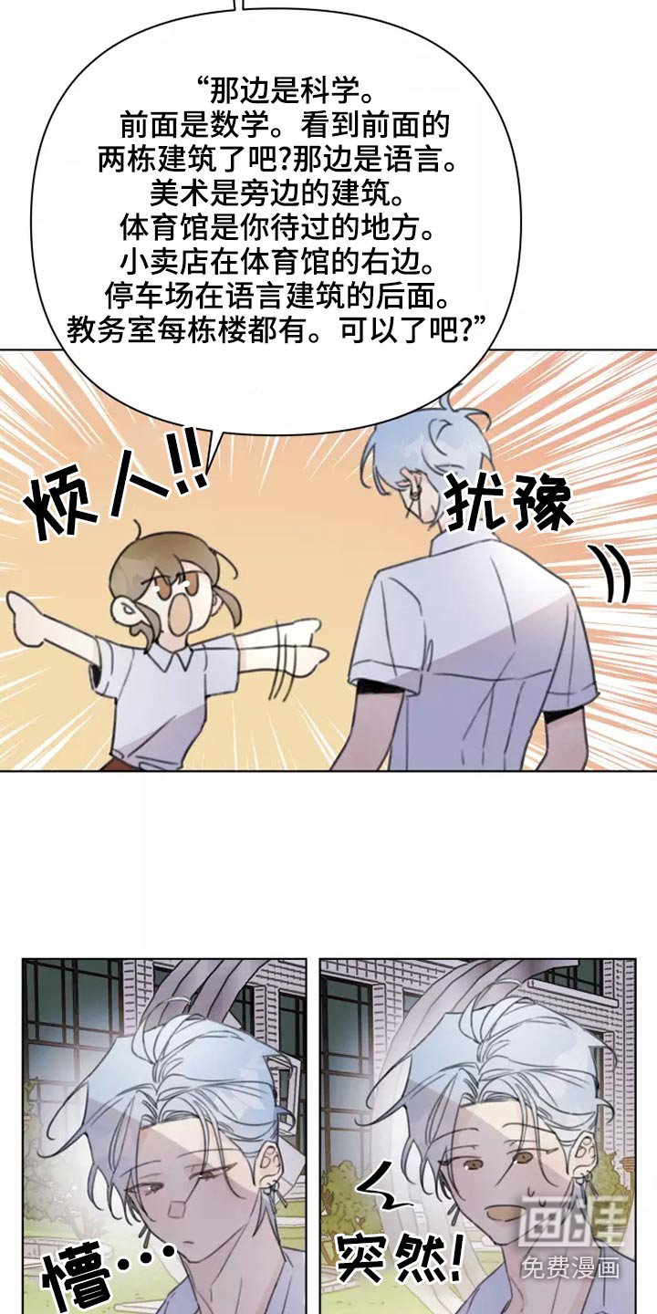 第39章：篮球