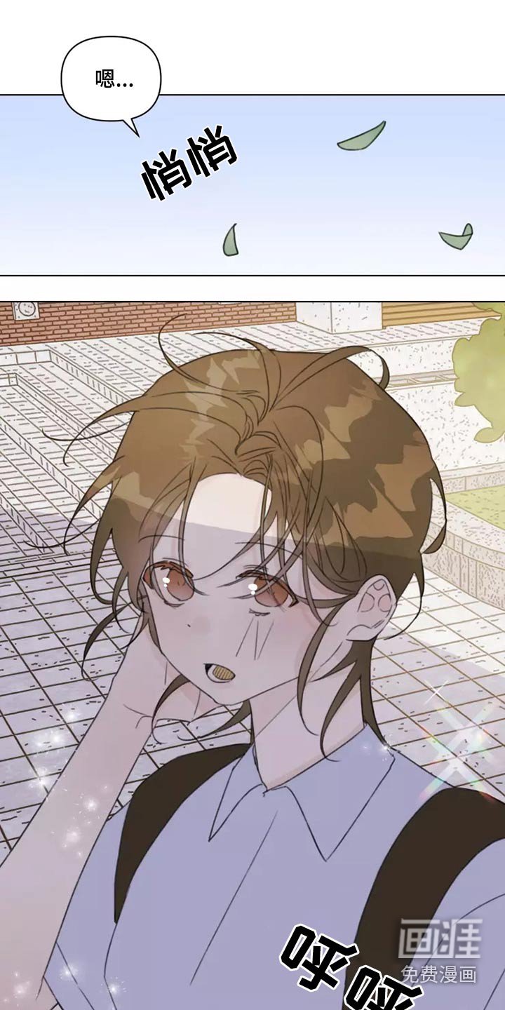第39章：篮球