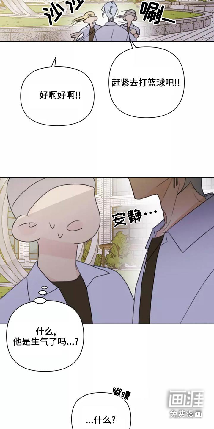 第39章：篮球