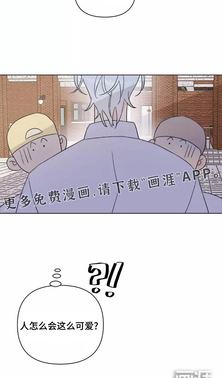 第39章：篮球