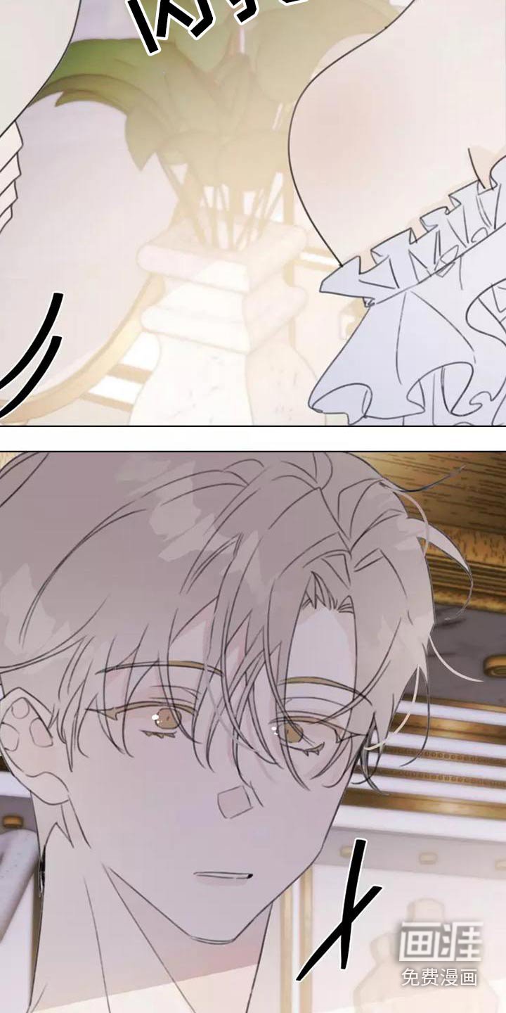 第44章：舞会
