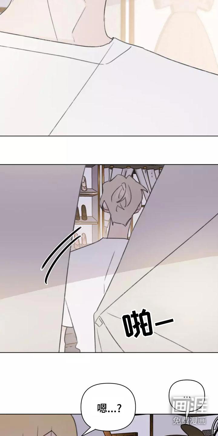 第44章：舞会