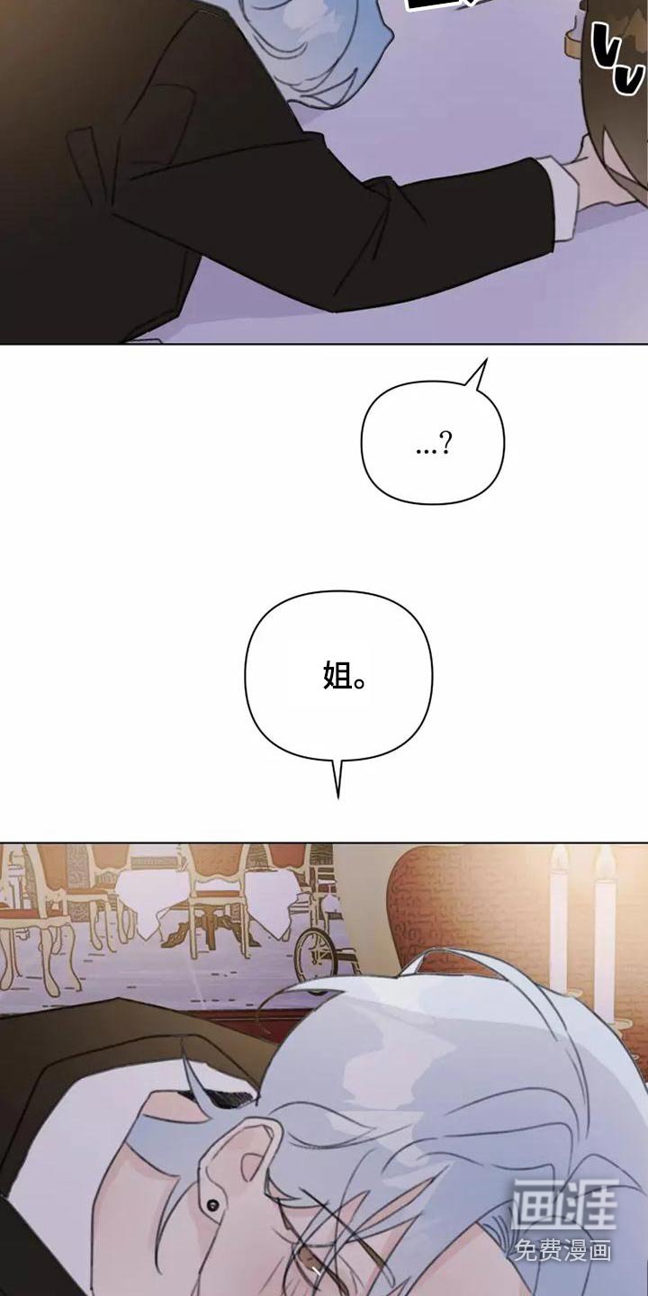 第44章：舞会