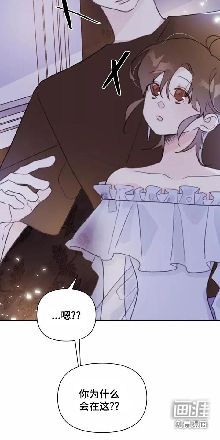 第46章：道歉