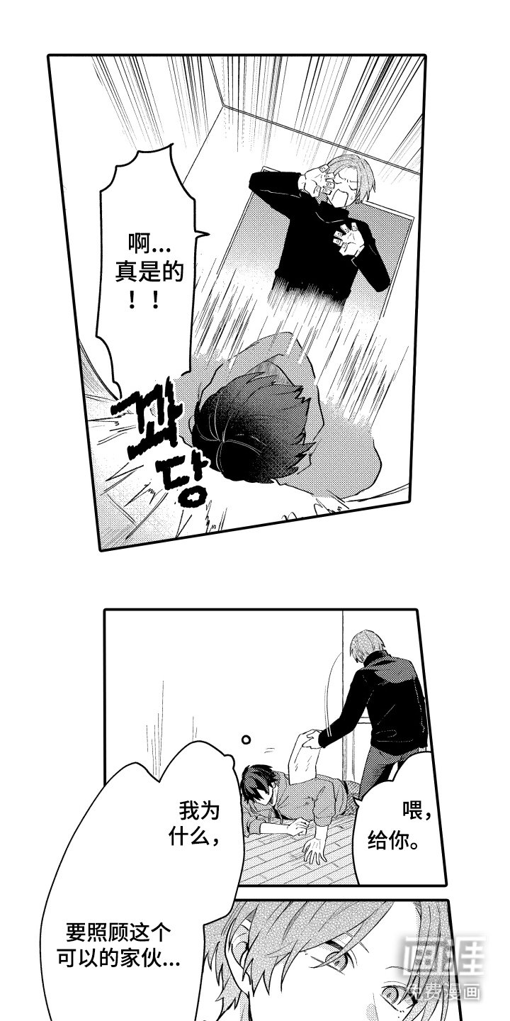 第2章：带回家