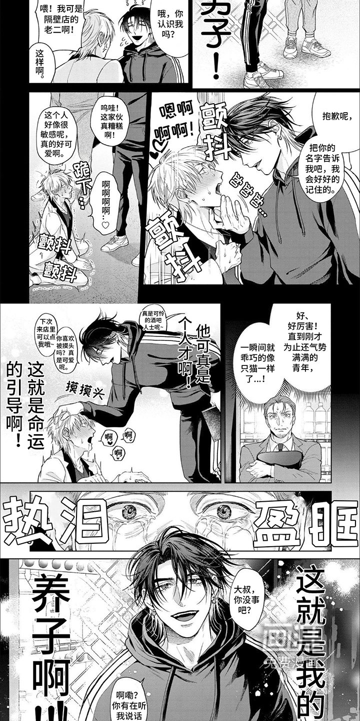第11章：完美形象