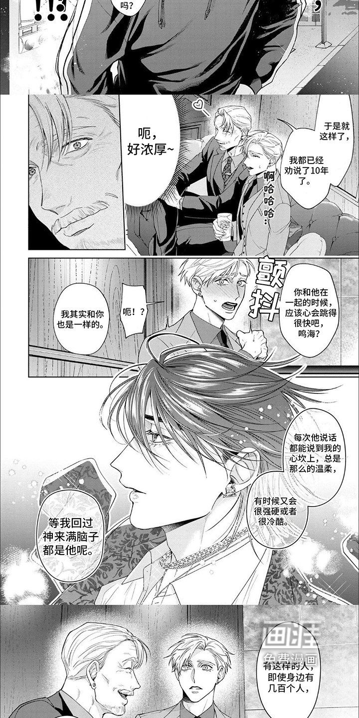 第11章：完美形象