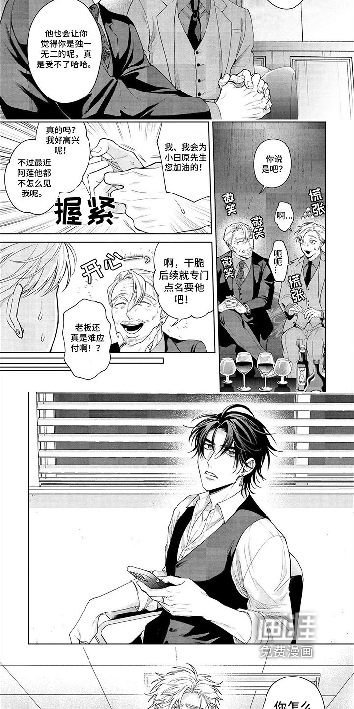 第11章：完美形象