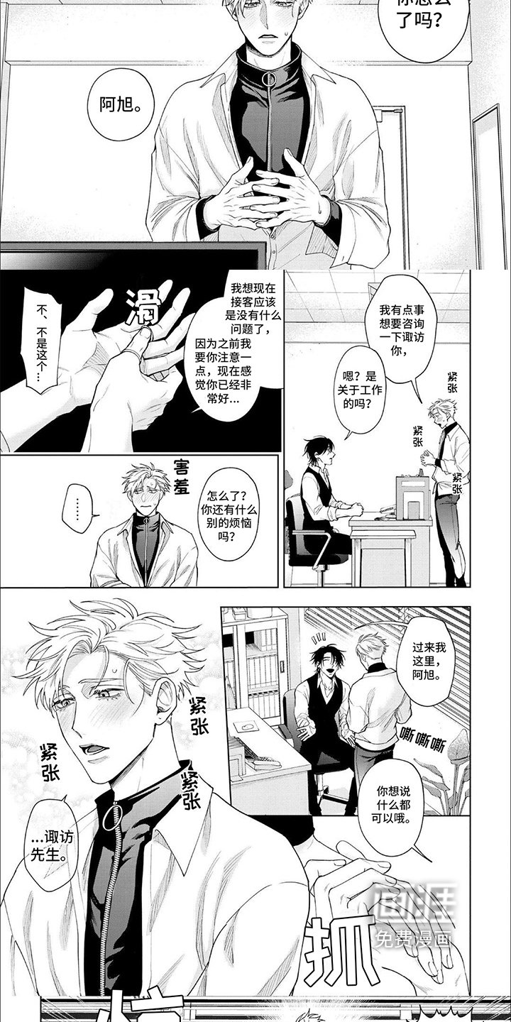 第11章：完美形象