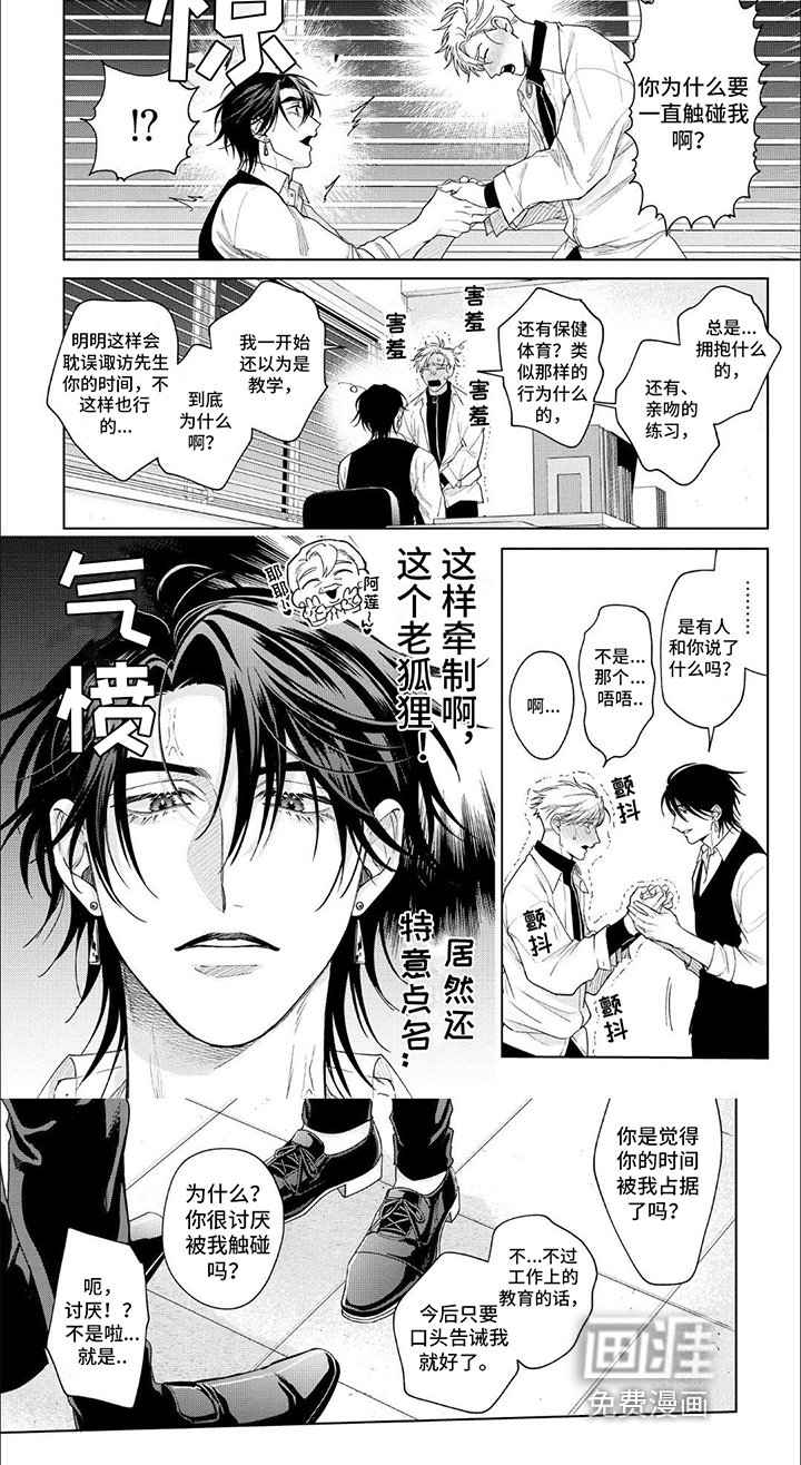 第11章：完美形象