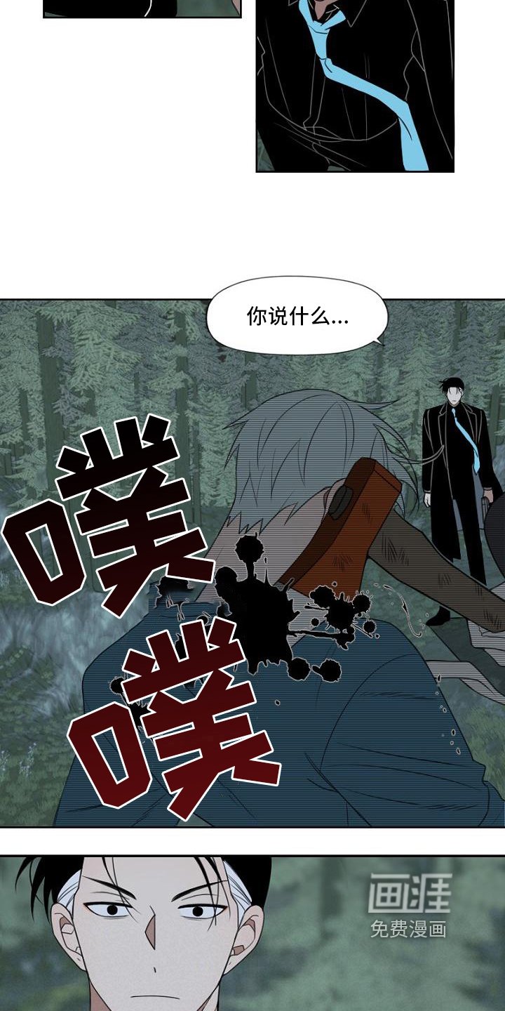第12章：抓获