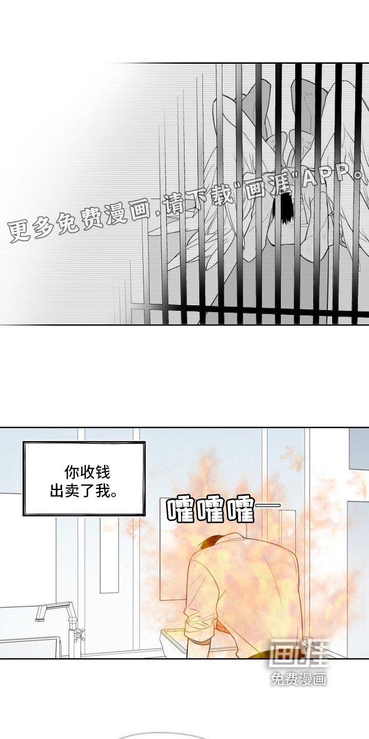 第9章：复仇之心