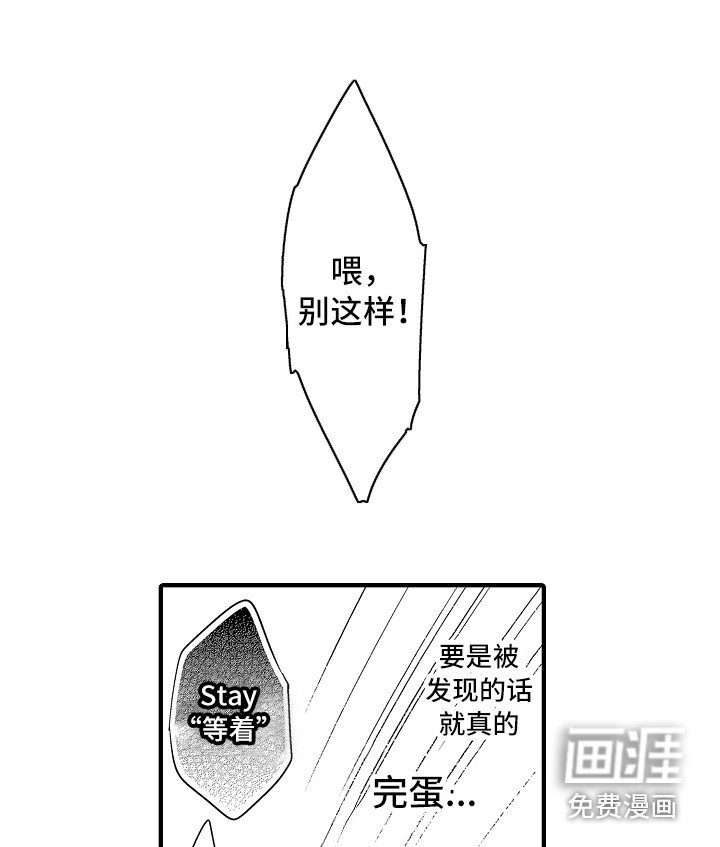 第18章：跟过来