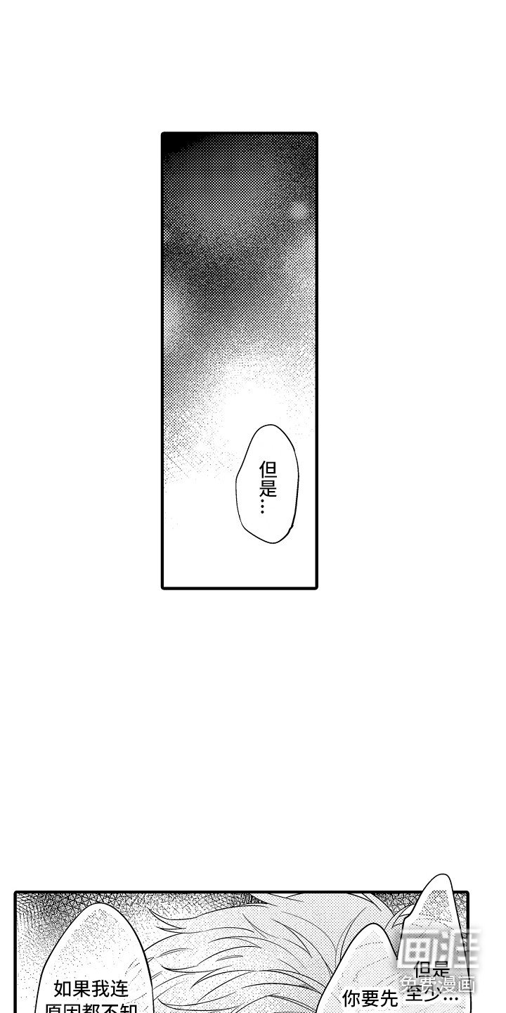第21章：解释