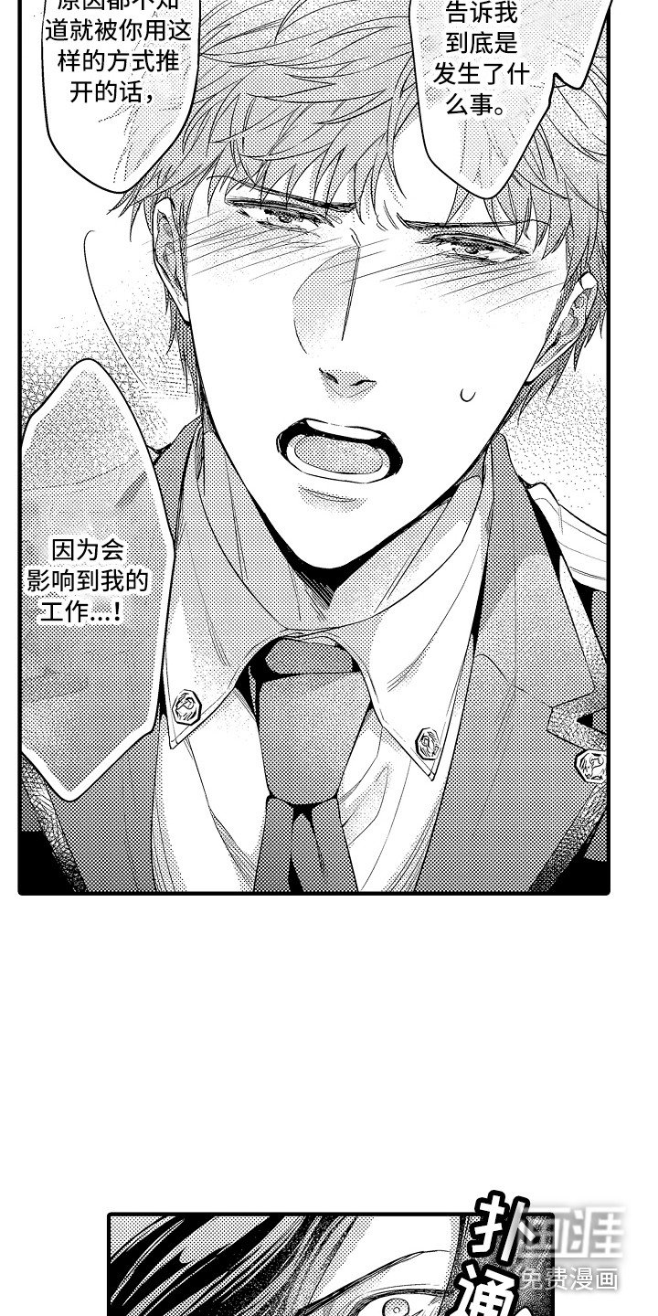 第21章：解释
