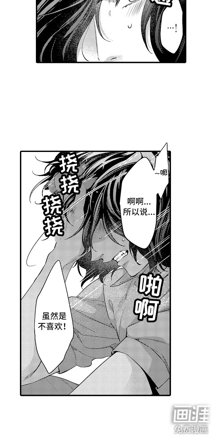 第21章：解释