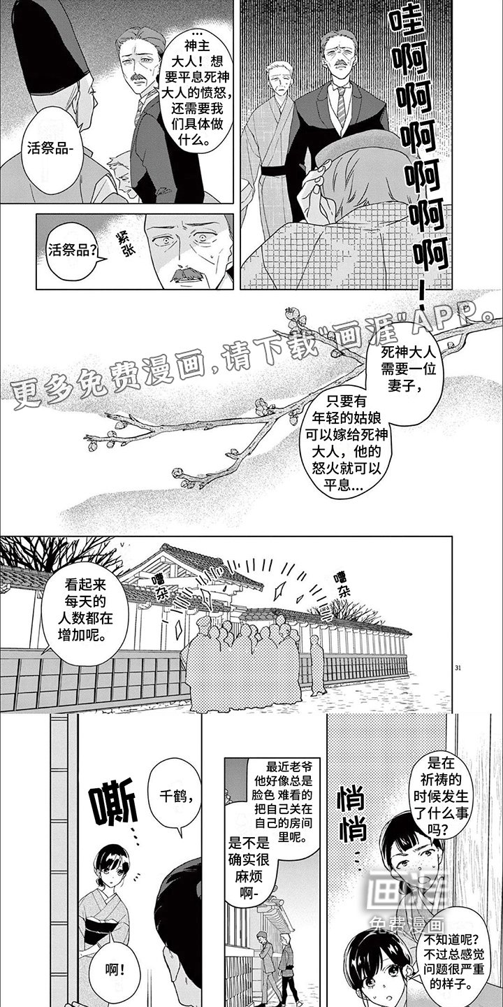第5章：代替品