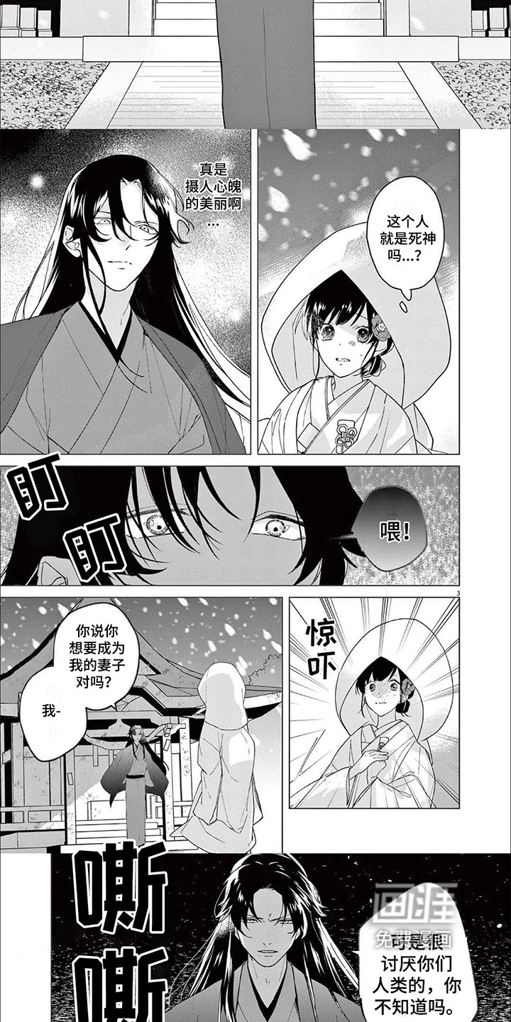 第7章：带走