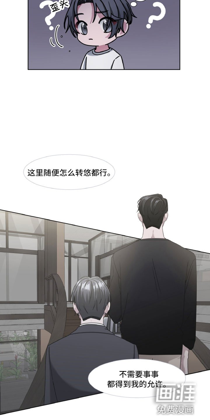 第11章：睡着了
