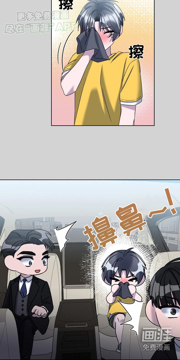 第50章：安排妥当