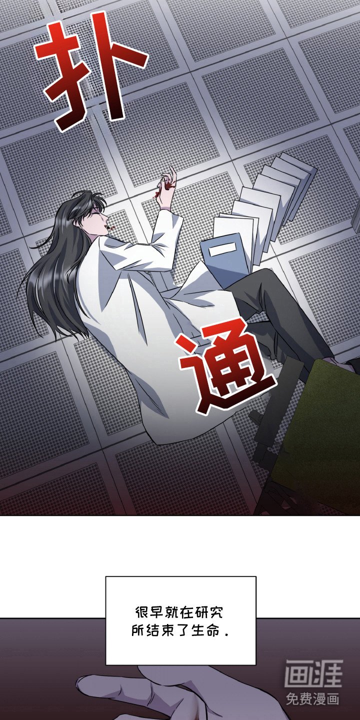 第82章：最后的梦想