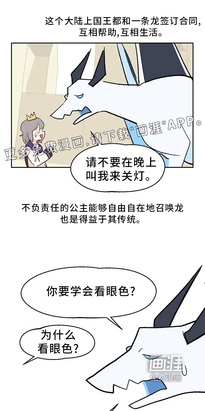 第15章：审美