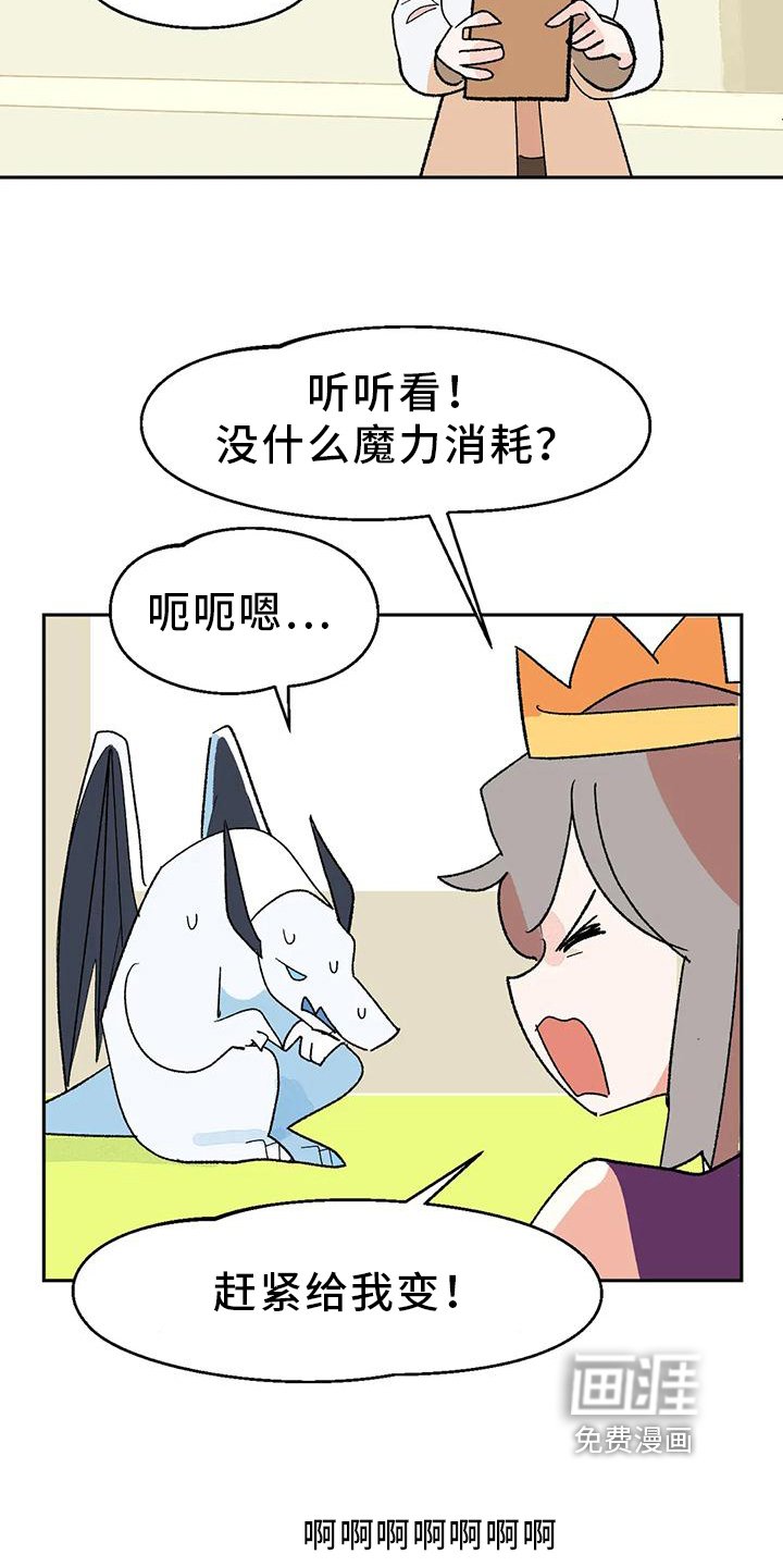 第15章：审美