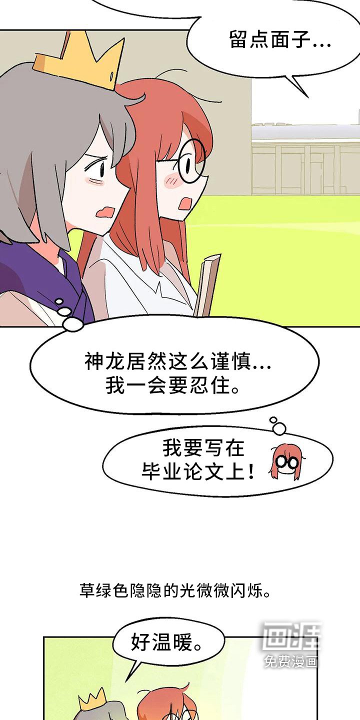 第15章：审美