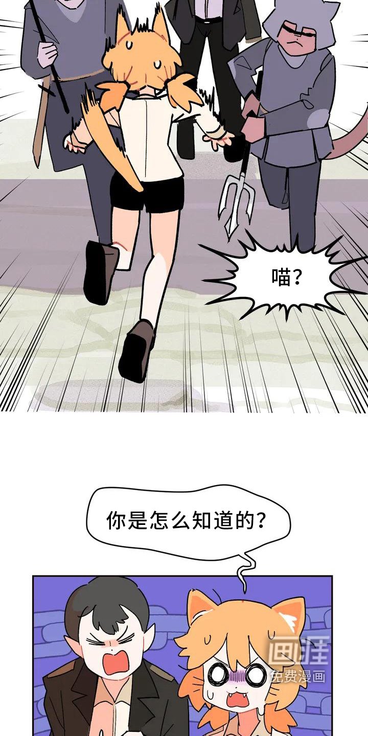第5章：巧计