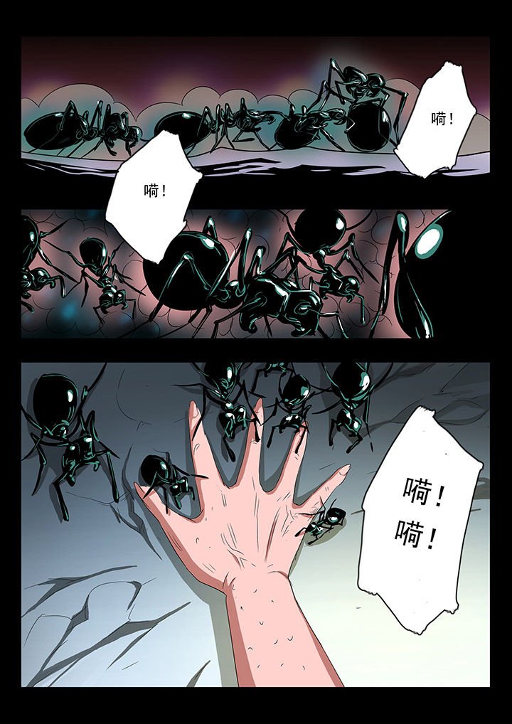 第28章：