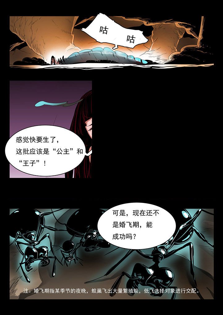第28章：