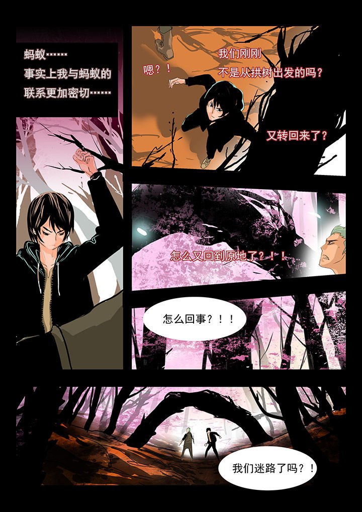 第3章：