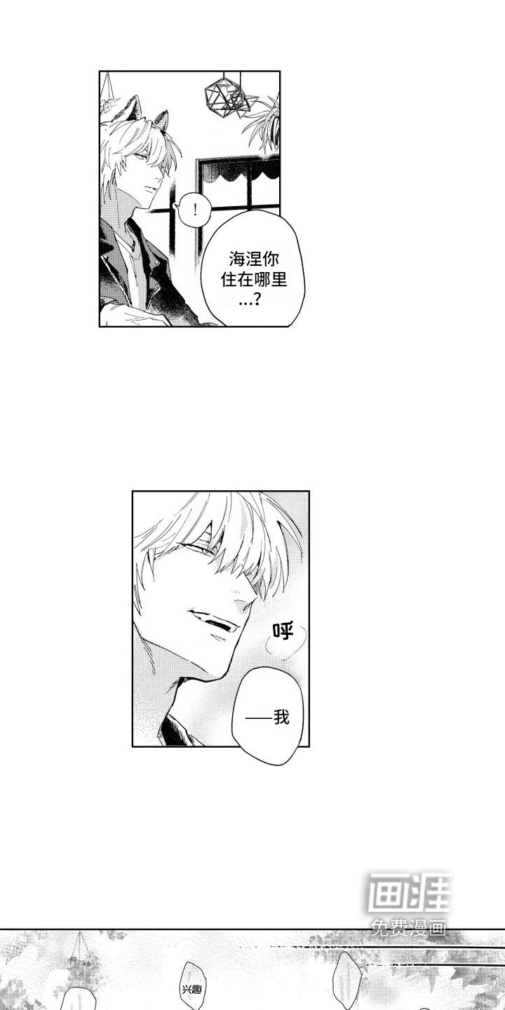 第13章：不确定