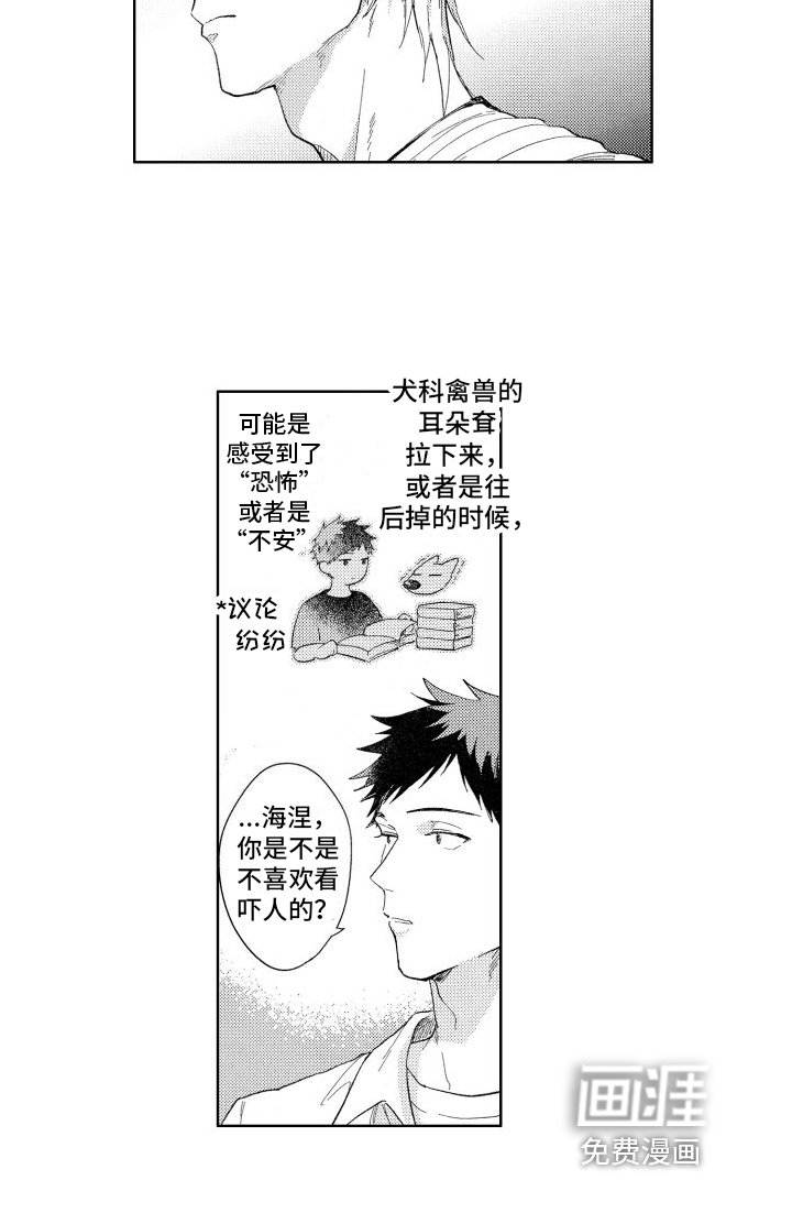 第14章：看电影