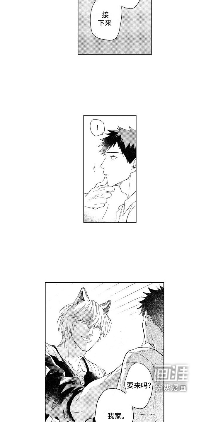 第16章：想法