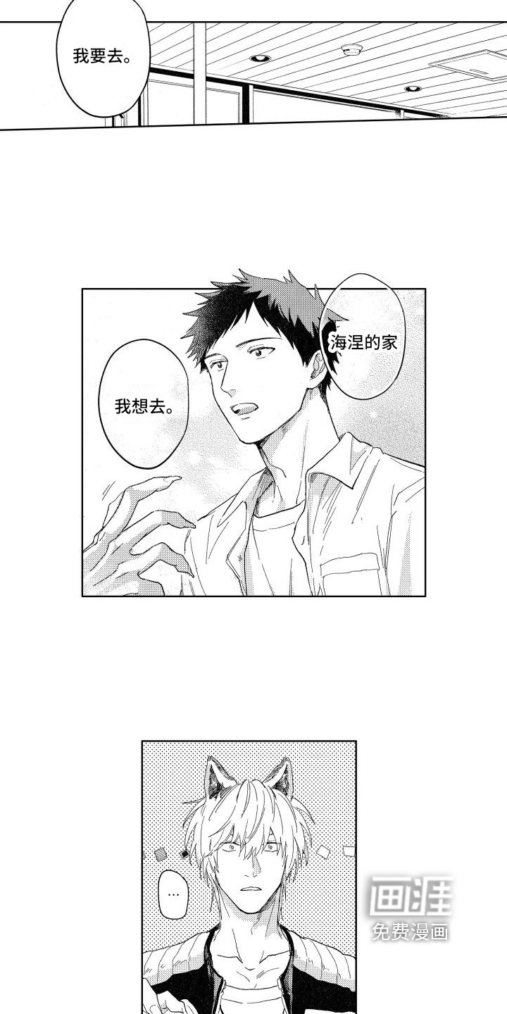 第16章：想法