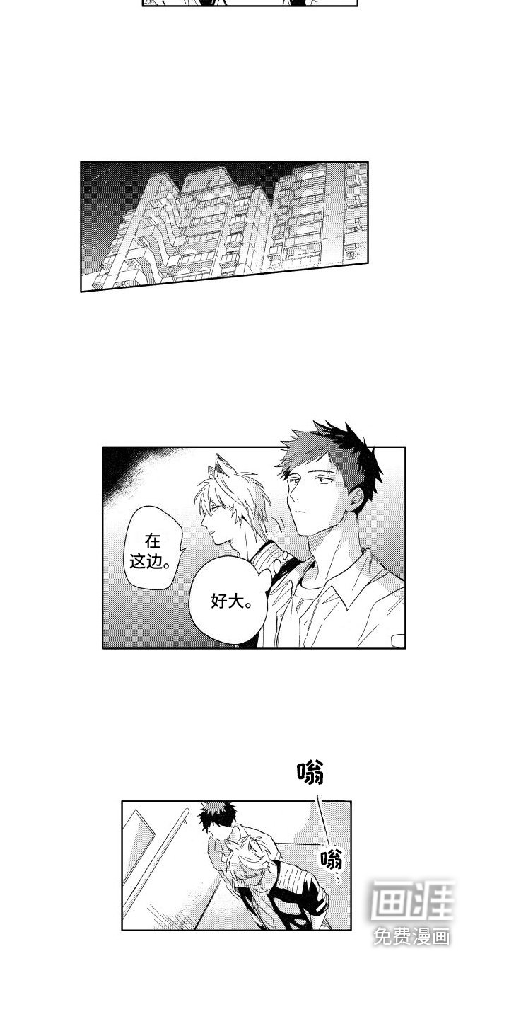 第16章：想法