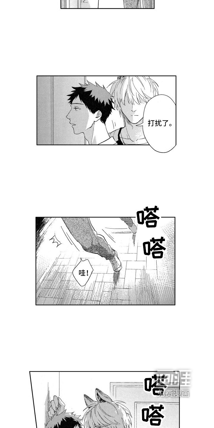 第16章：想法