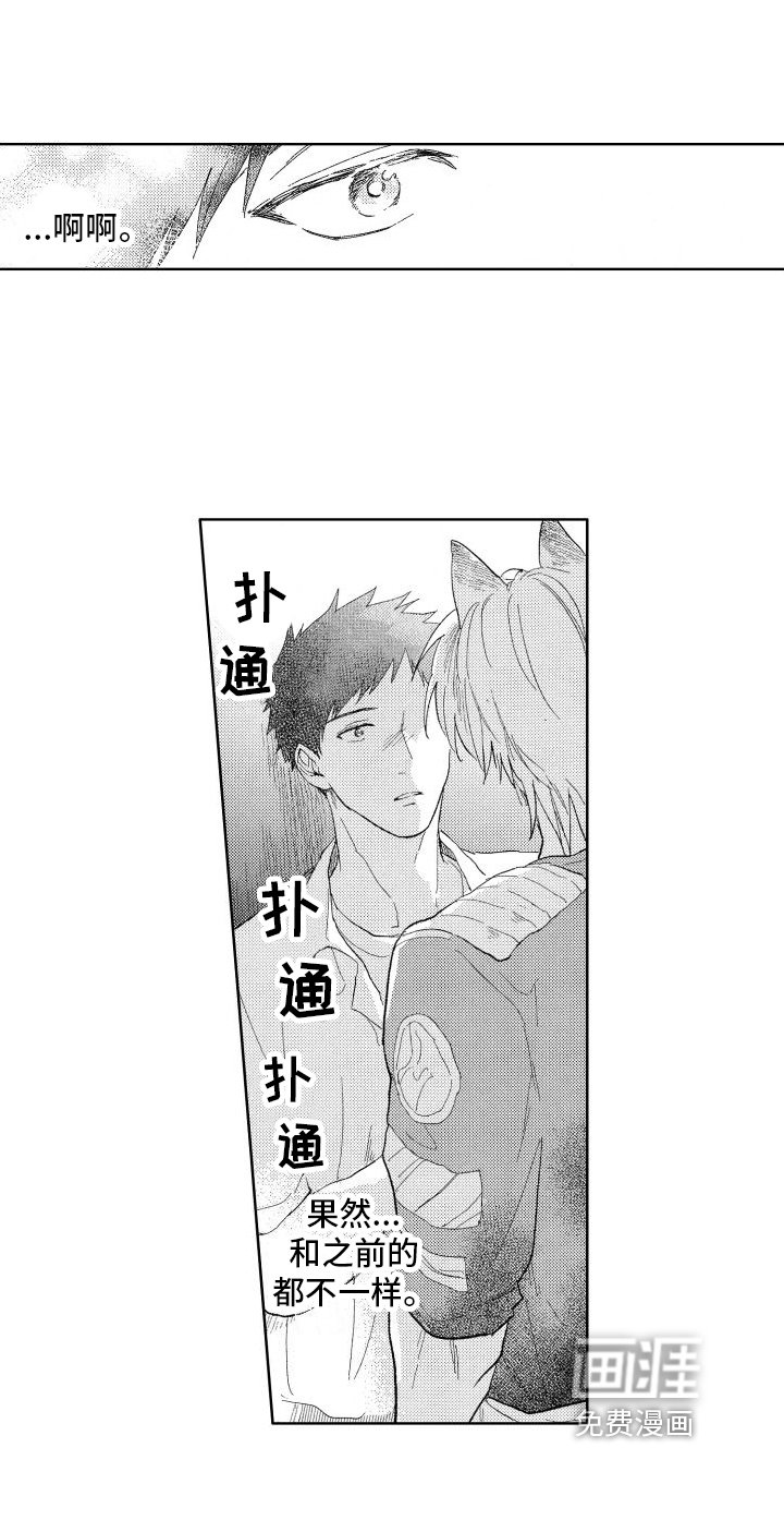 第16章：想法