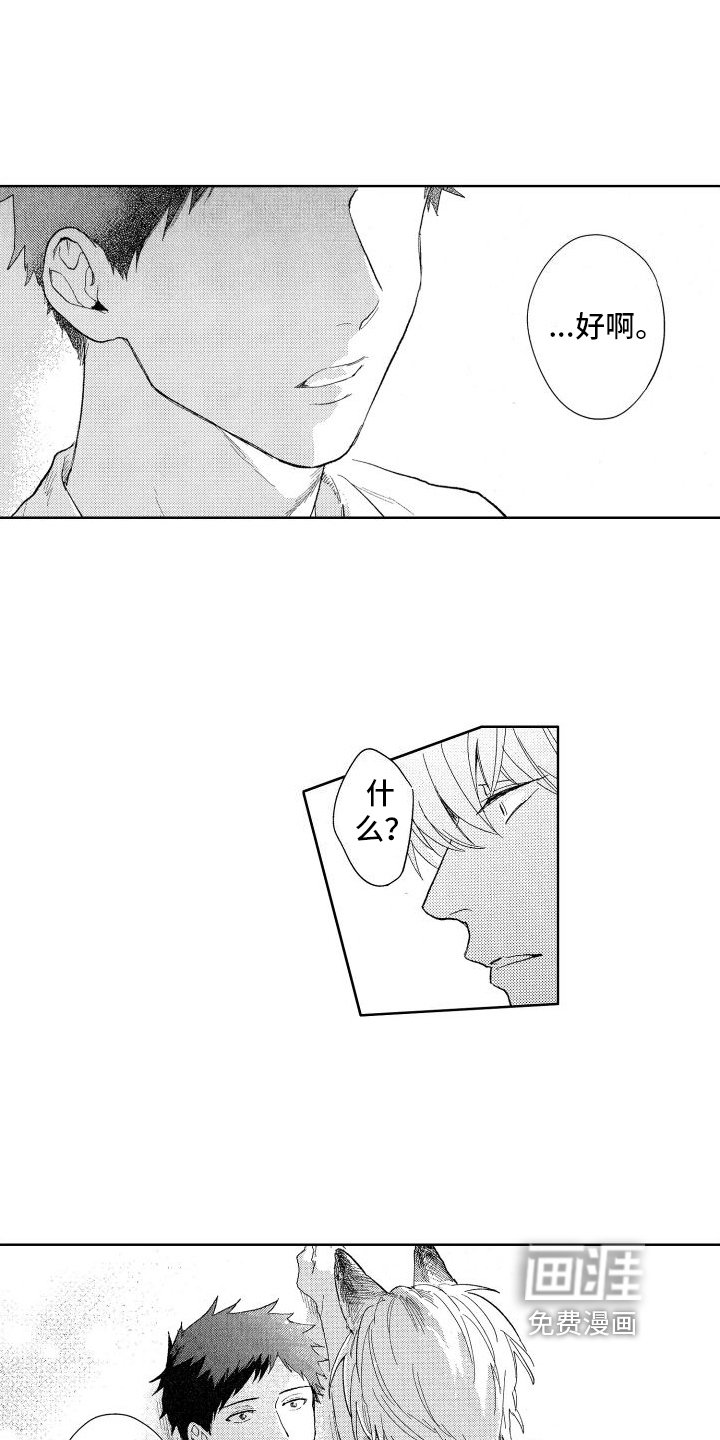 第17章：回答