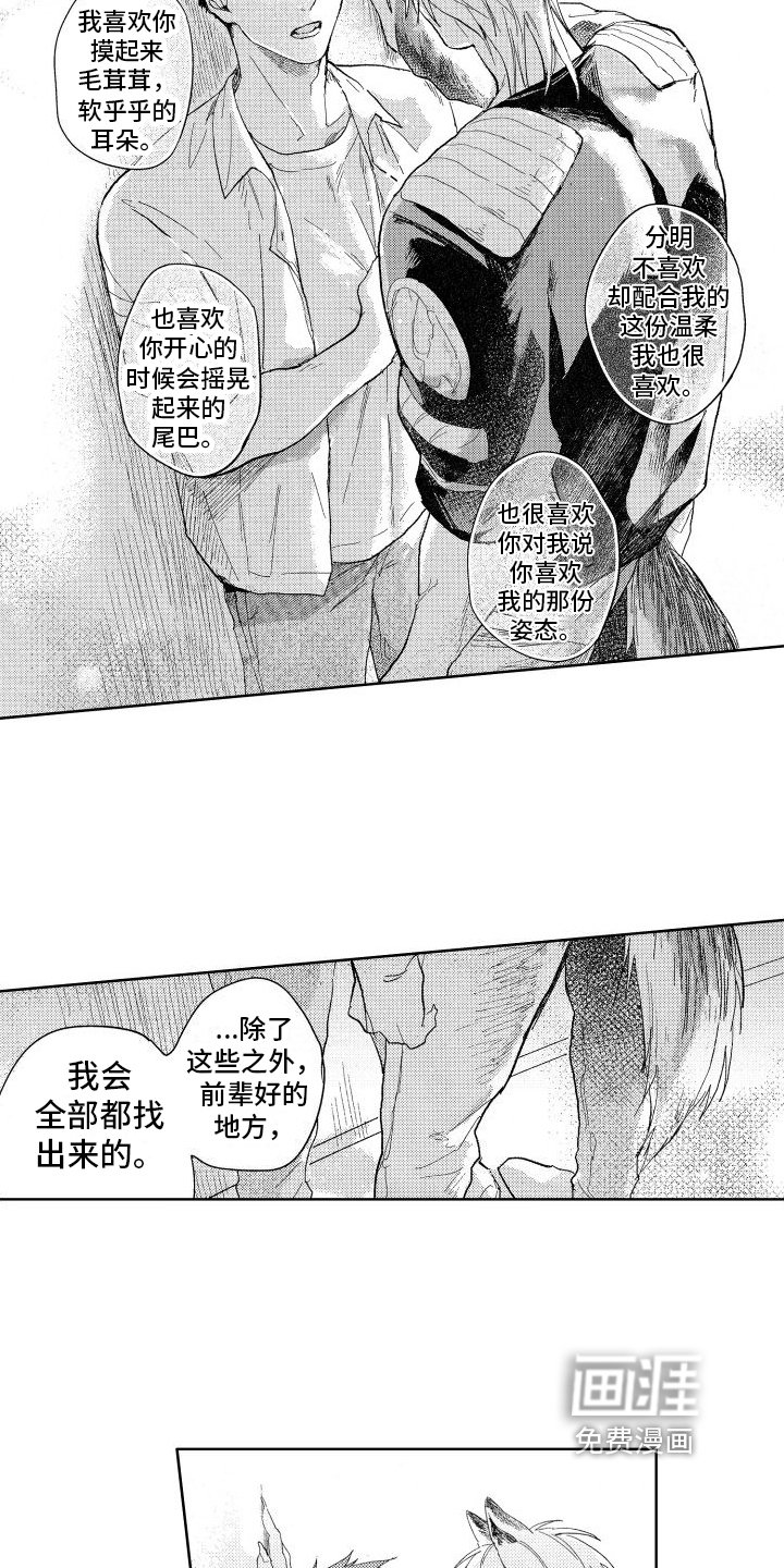 第17章：回答