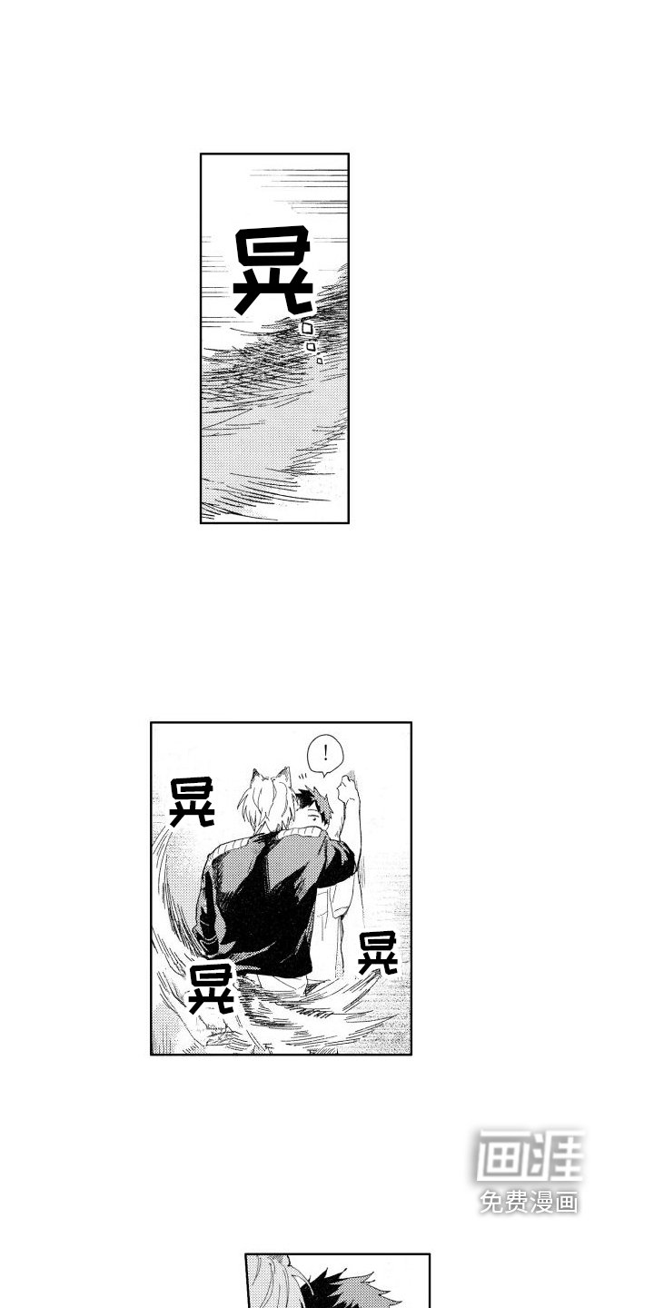 第17章：回答