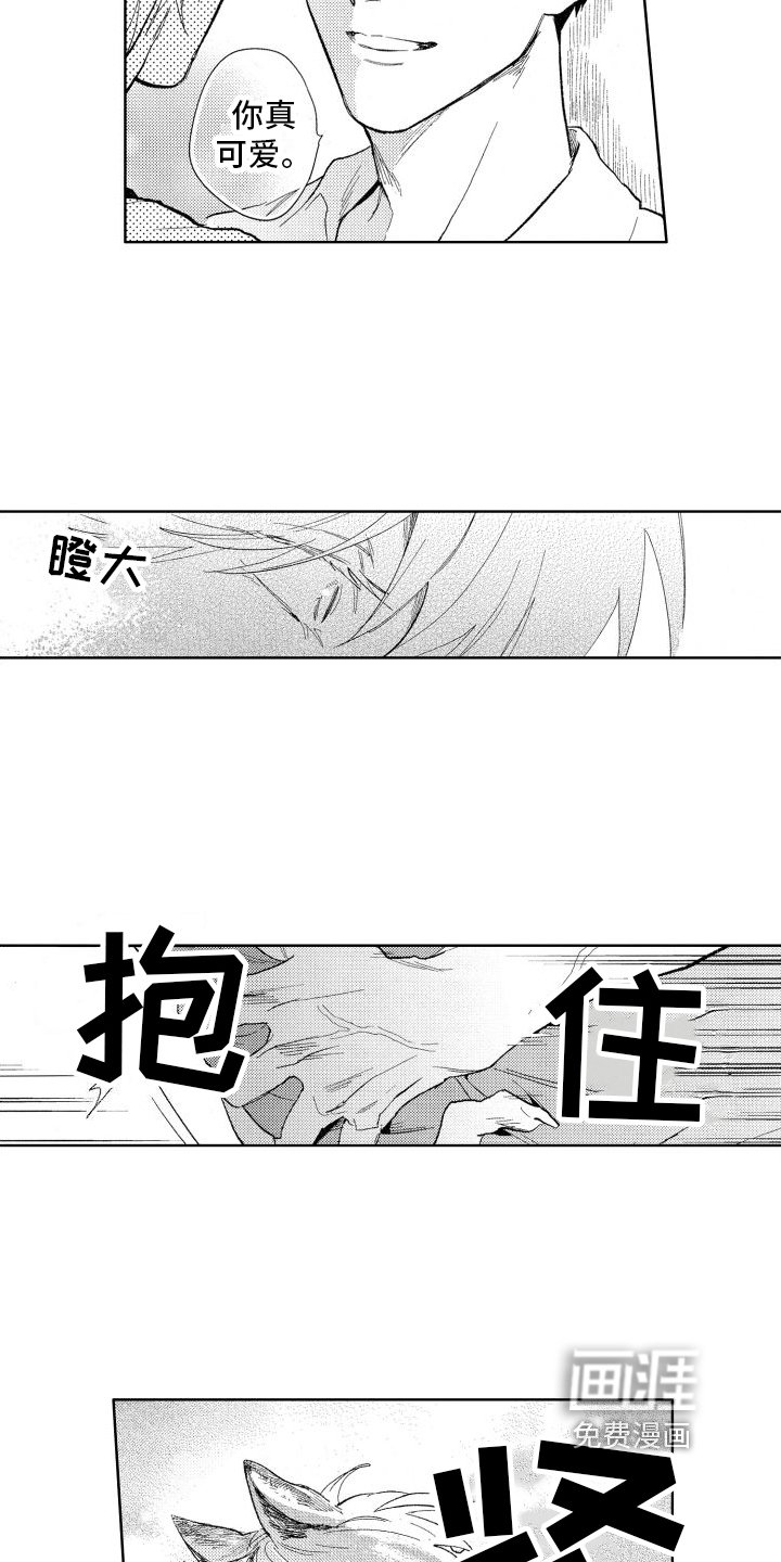 第17章：回答