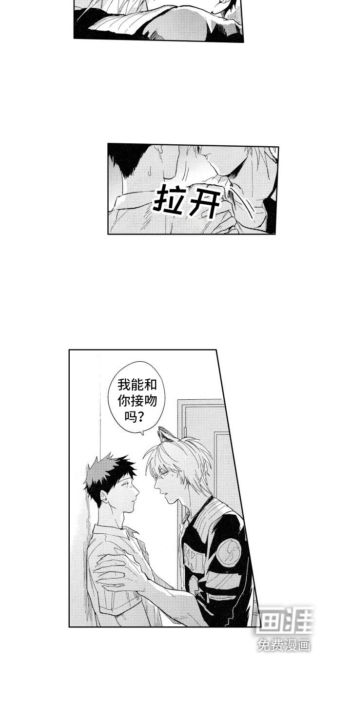 第17章：回答