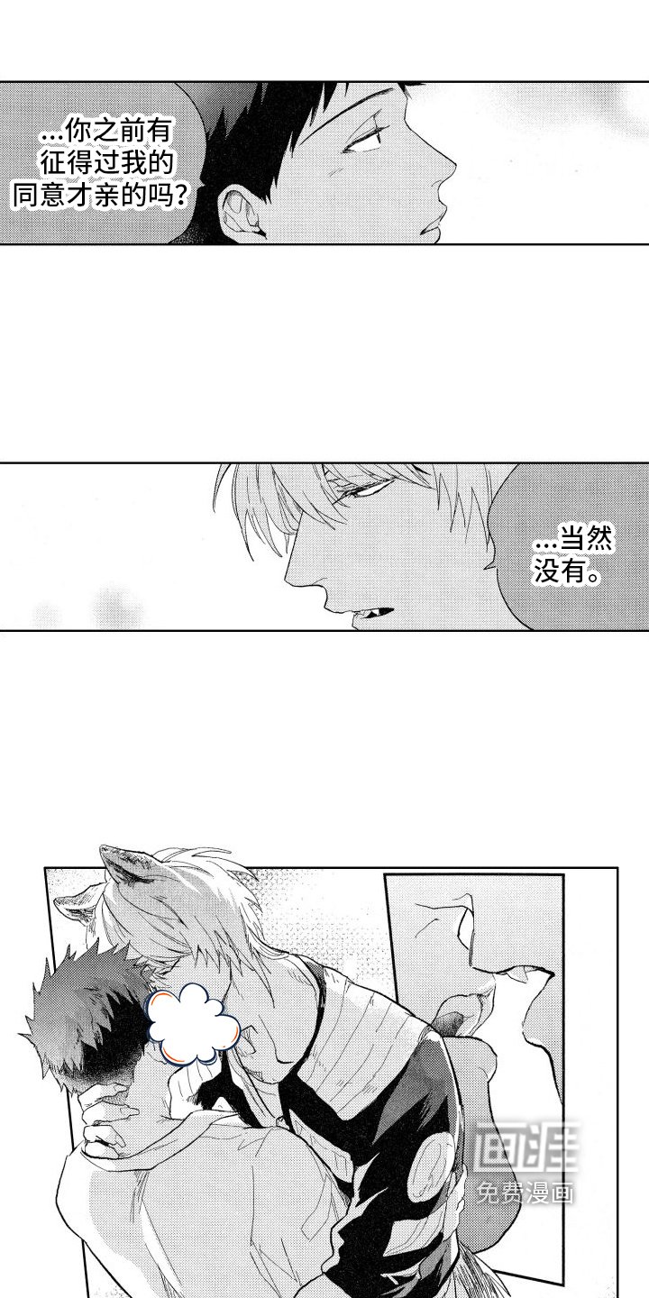 第17章：回答