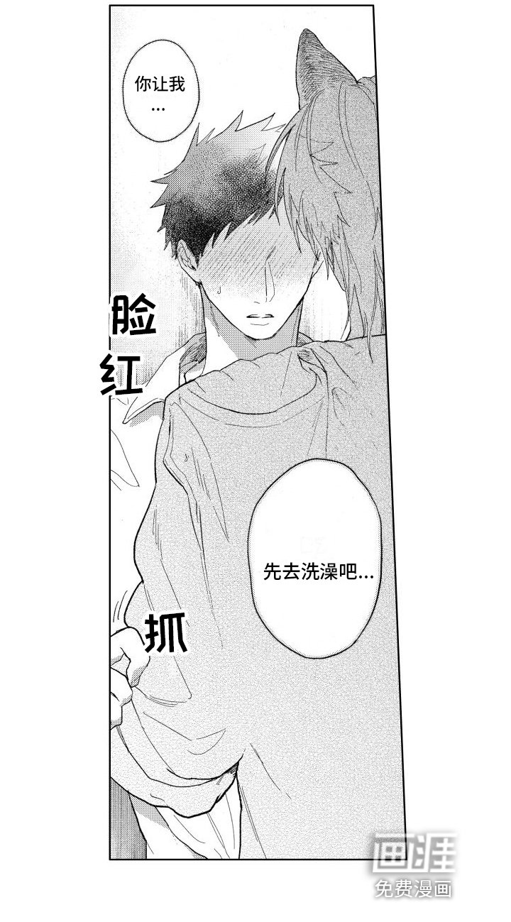 第17章：回答