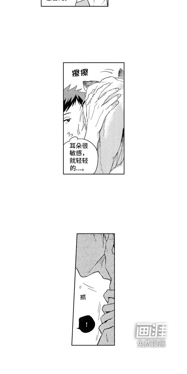 第18章：温柔